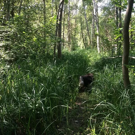 La Canardière Séjour chez l'habitant