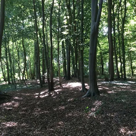 La Canardiere Privat bolig Pendé