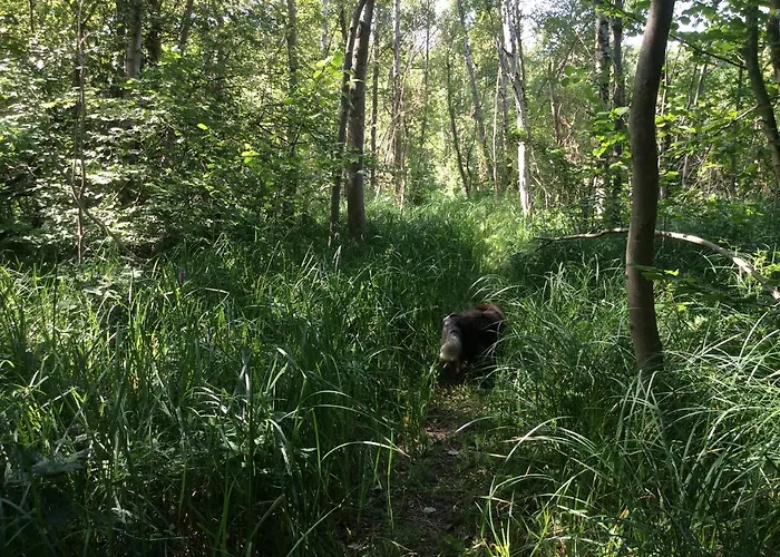 La Canardiere Privat bolig